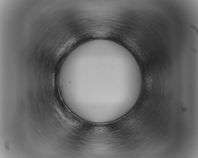 X0000101230686200807111120