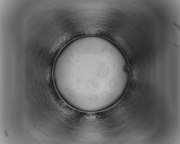 X0000101230687200807111120