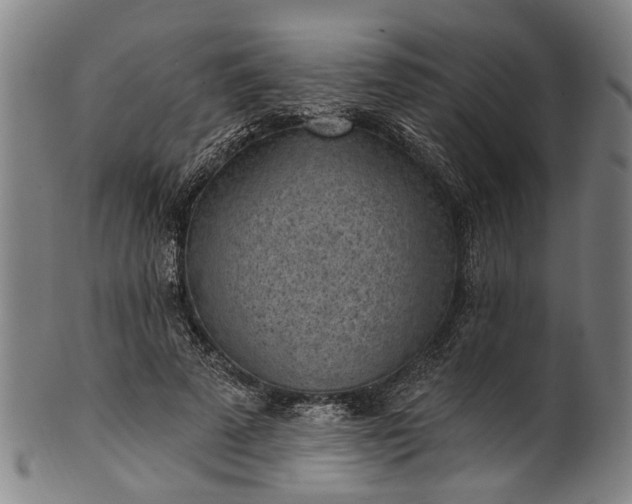 X0000101230689200807111120