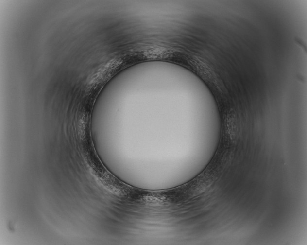 X0000101230690200807111120