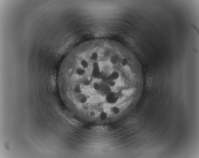 X0000101230691200807111120