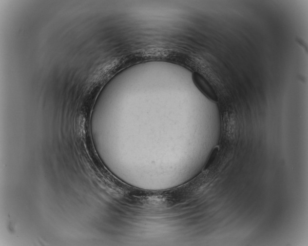 X0000101230692200807111120