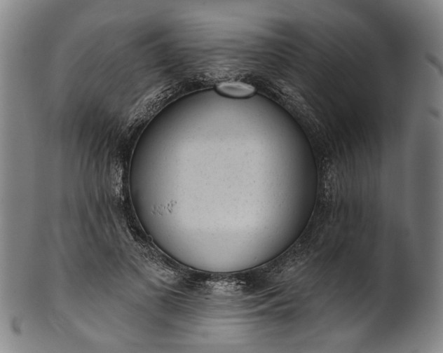 X0000101230693200807111120