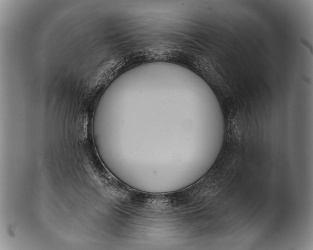 X0000101230694200807111120