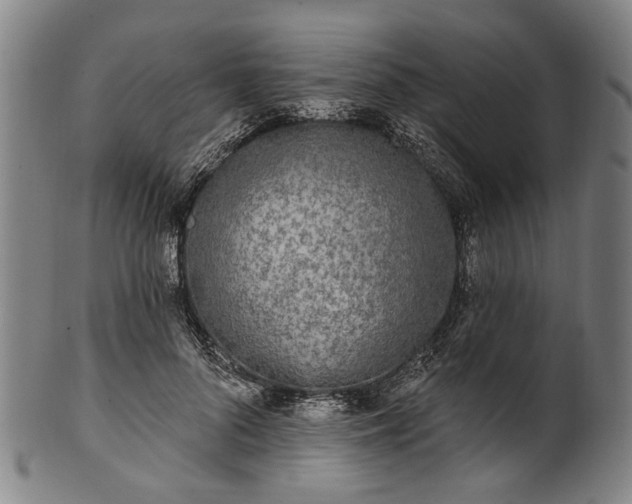 X0000101230696200807111120