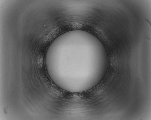 X0000101230697200807111120