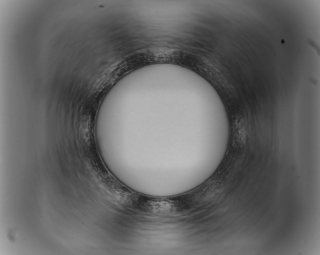 X0000101230698200807111120