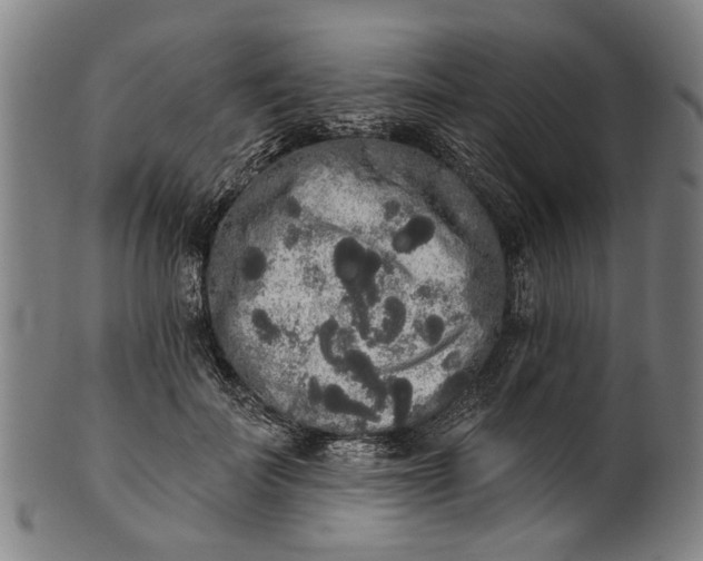 X0000101230699200807111120