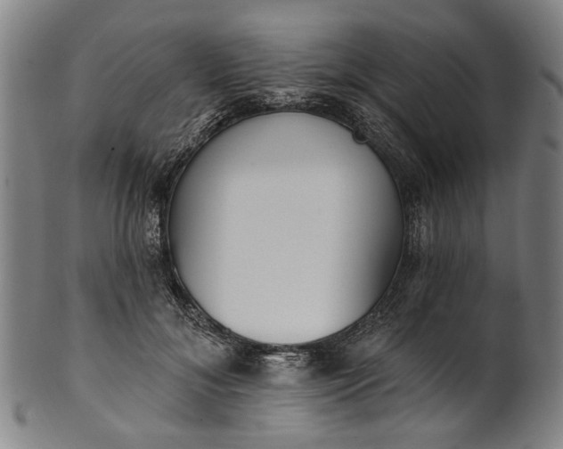 X0000101230700200807111120