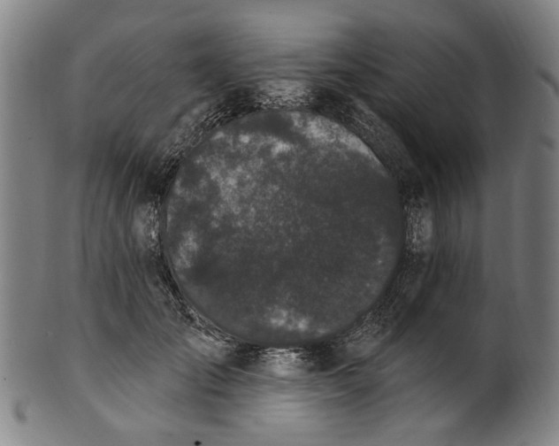 X0000101230701200807111120