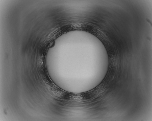 X0000101230702200807111120