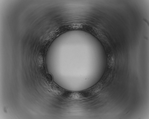 X0000101230704200807111120