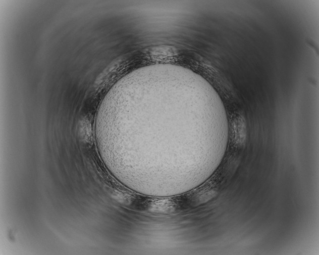 X0000101230705200807111120