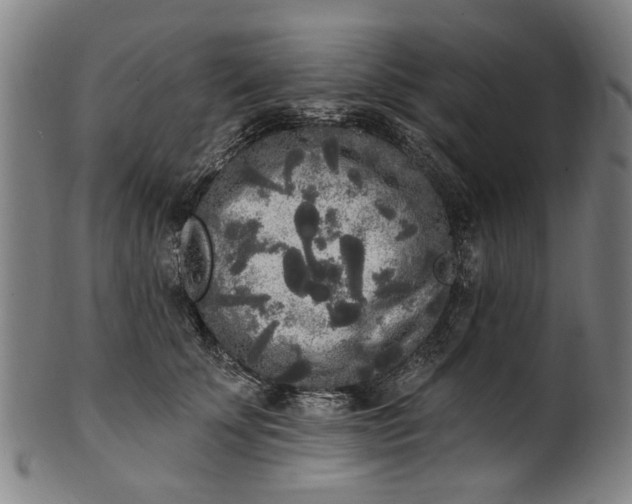 X0000101230707200807111120