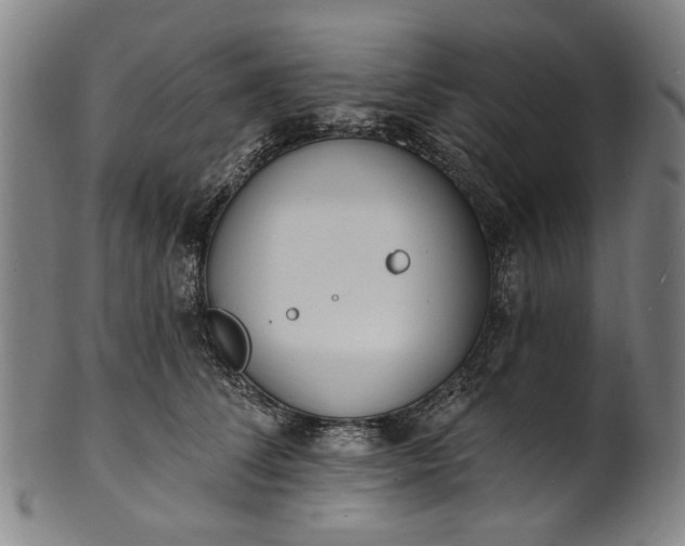 X0000101230708200807111120