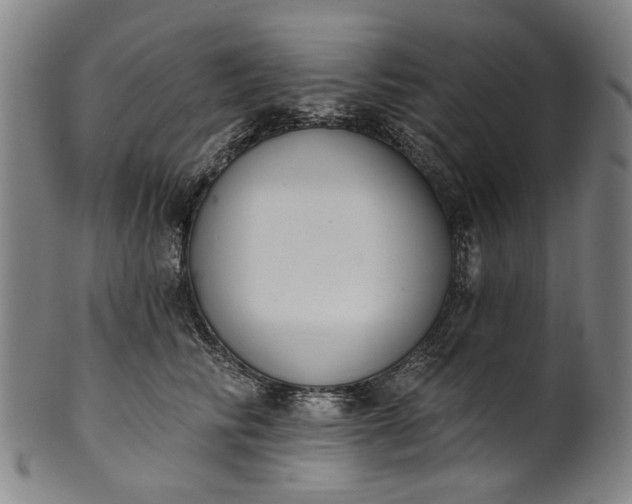 X0000101230710200807111120