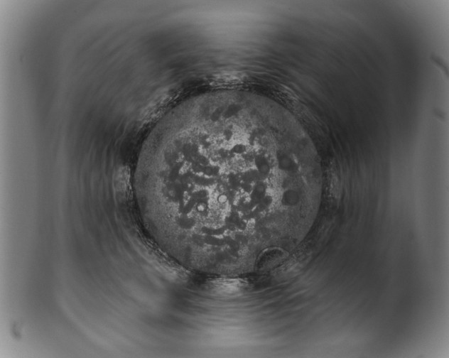 X0000101230711200807111120