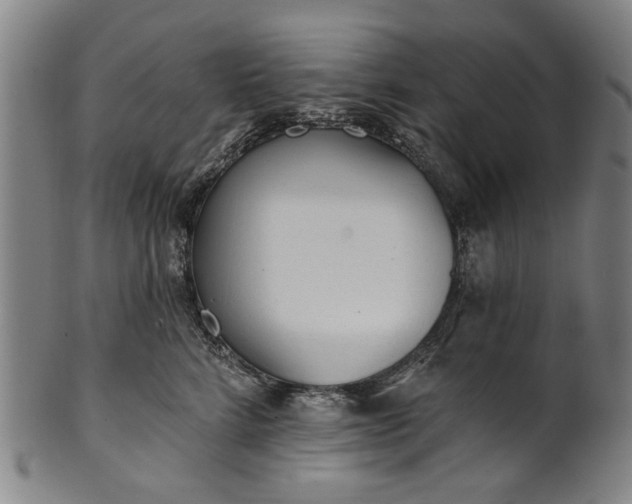 X0000101230712200807111120