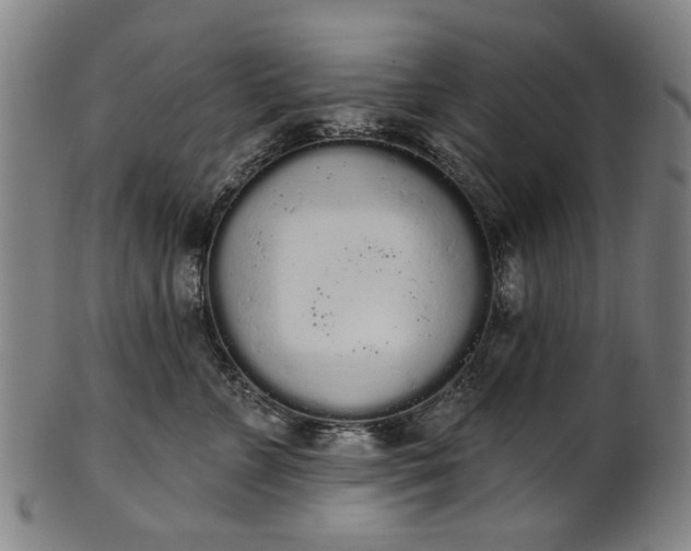 X0000101230715200807111120