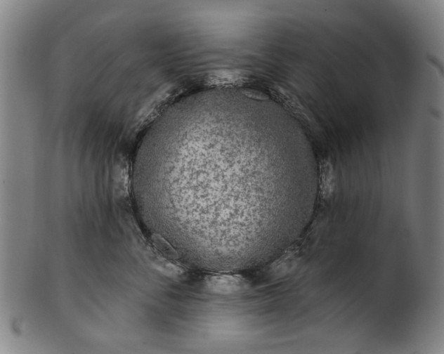 X0000101230716200807111120