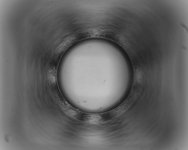 X0000101230719200807111120