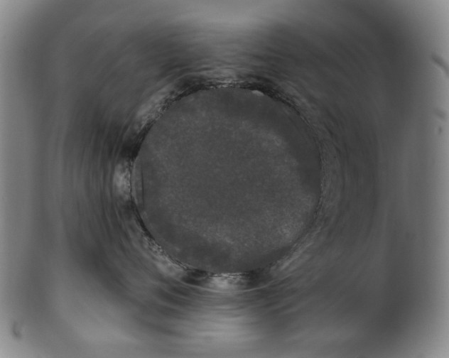 X0000101230720200807111120