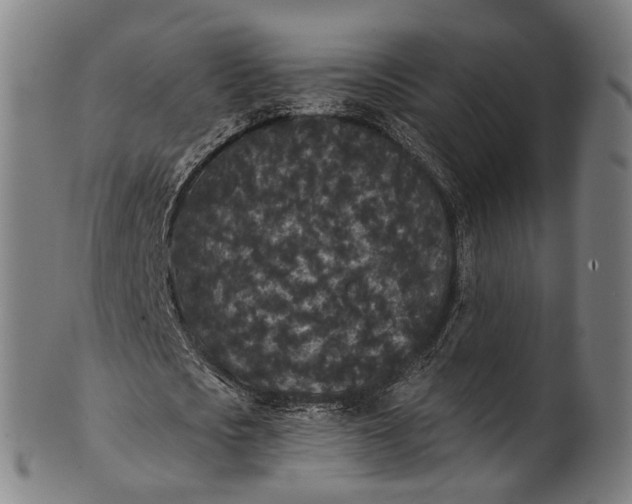 X0000101230721200807111119