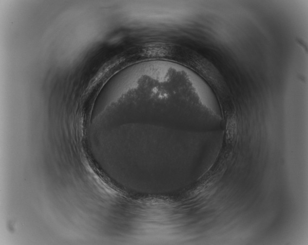 X0000101230722200807111119