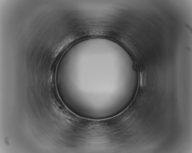 X0000101230723200807111119