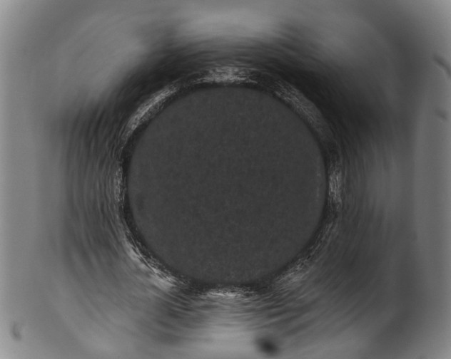 X0000101230724200807111119