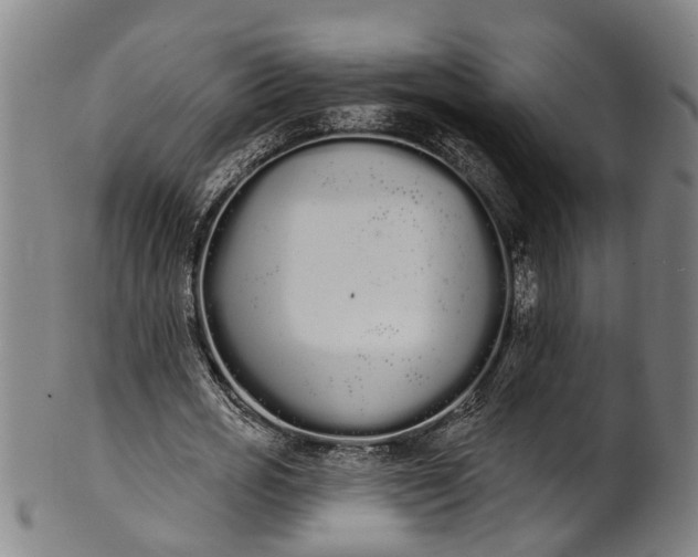 X0000101230725200807111119