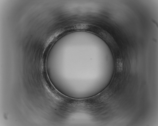 X0000101230726200807111119