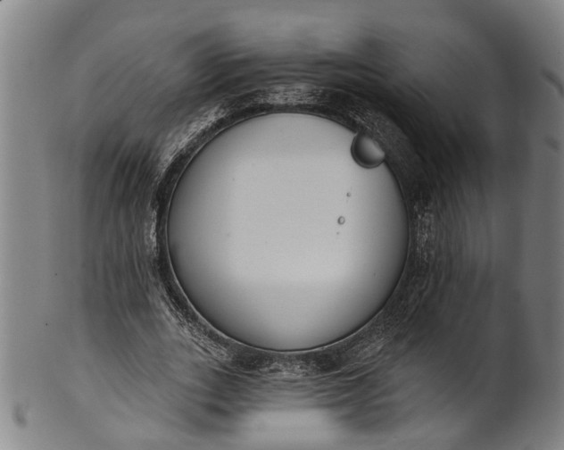 X0000101230727200807111119