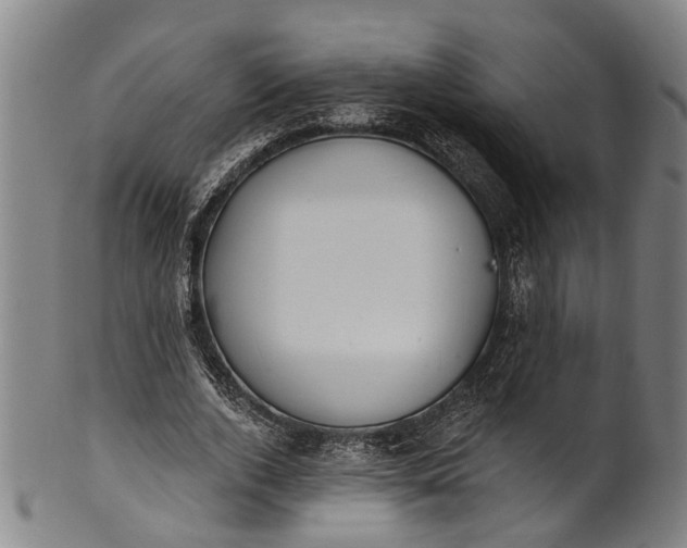 X0000101230728200807111119