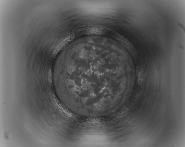 X0000101230729200807111119