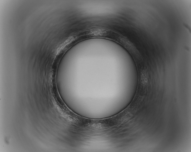 X0000101230730200807111119