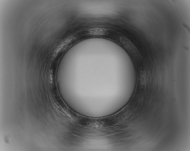 X0000101230731200807111119