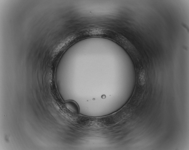 X0000101230732200807111119