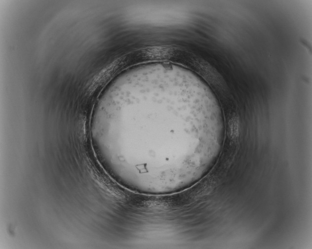 X0000101230733200807111119