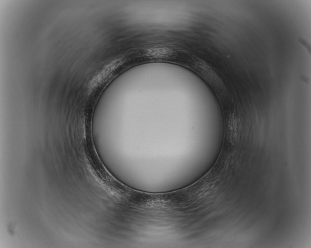 X0000101230734200807111119