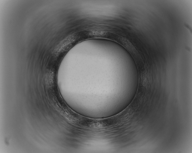 X0000101230735200807111119