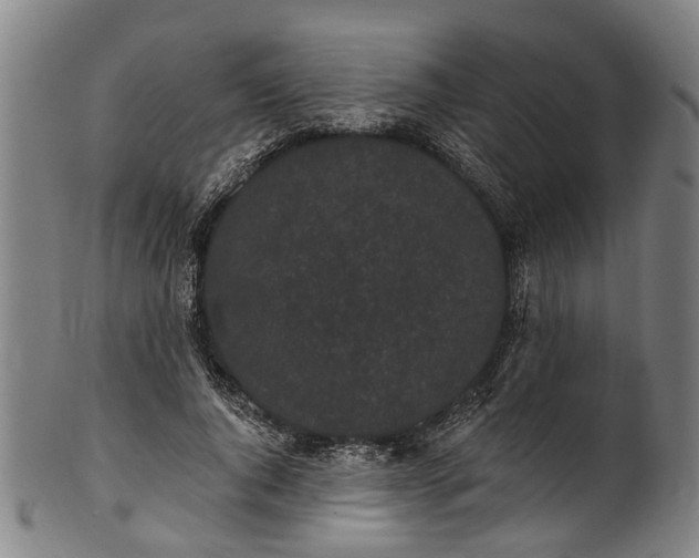 X0000101230736200807111119