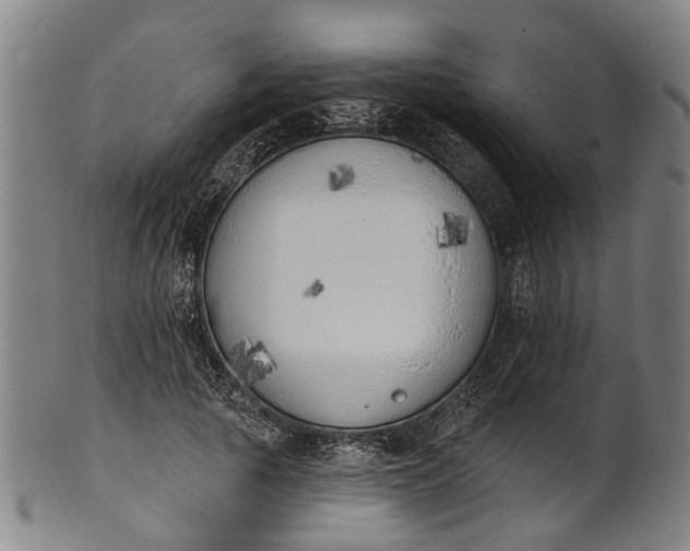 X0000101230737200807111119