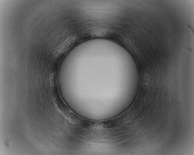 X0000101230738200807111119