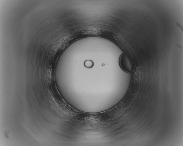 X0000101230739200807111119