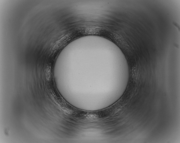 X0000101230741200807111120