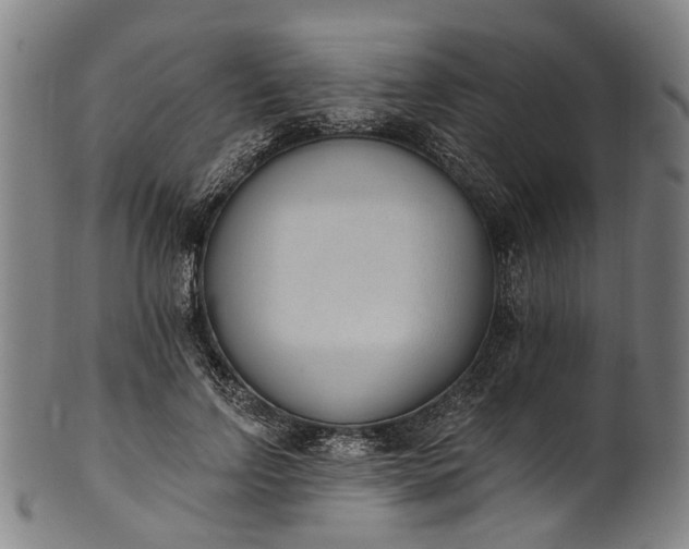 X0000101230742200807111120