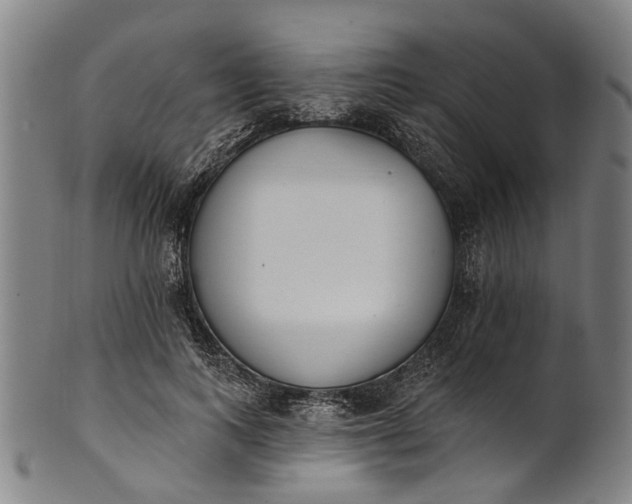 X0000101230743200807111120