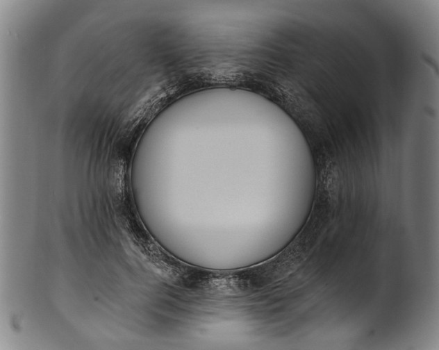 X0000101230744200807111120