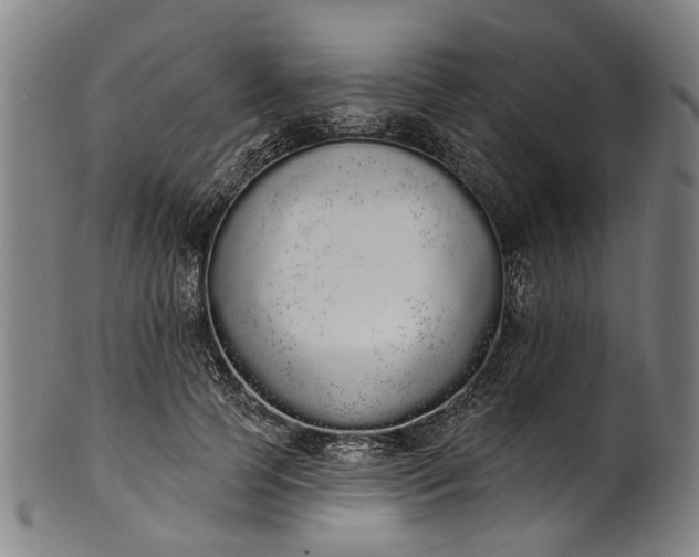 X0000101230745200807111120